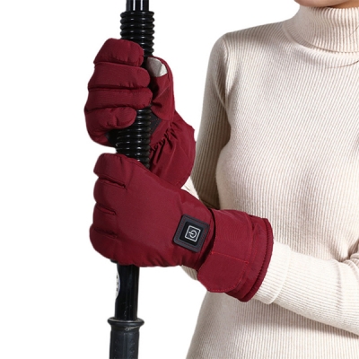 Heated Gloves HG-003